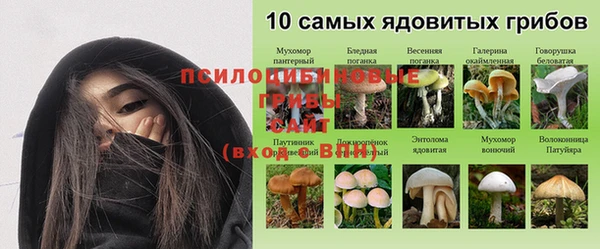 MESCALINE Алзамай