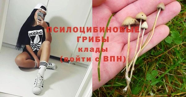 MESCALINE Алзамай