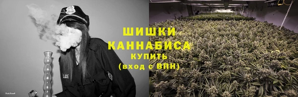 PSILOCYBIN Алексеевка