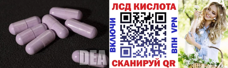 даркнет сайт  Игра  Лсд 25 экстази кислота 