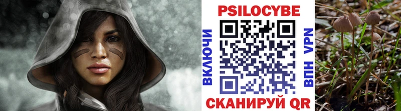 Галлюциногенные грибы мицелий  Игра 